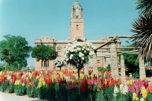 Location de voiture Harrismith